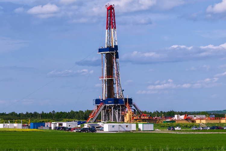 Mineral or real estate assets