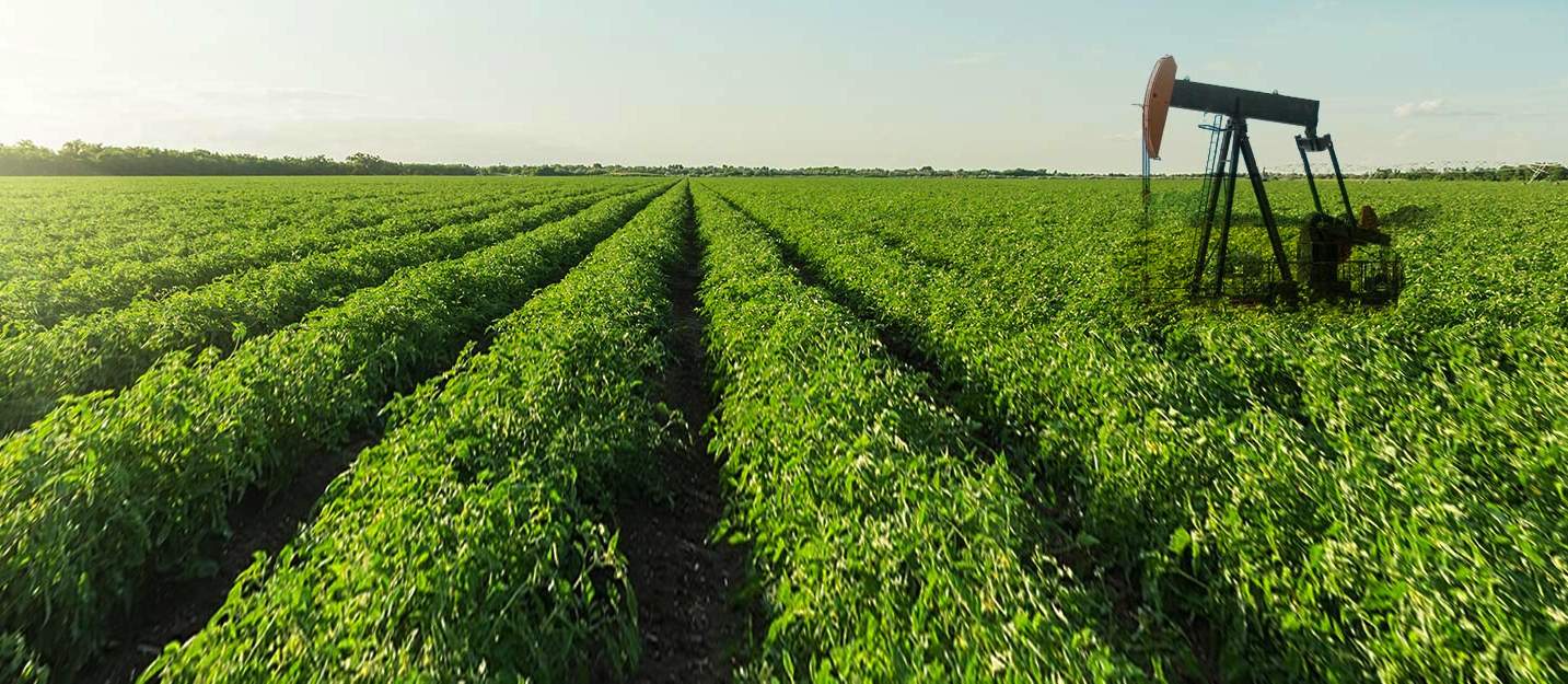 unlock your royalty value